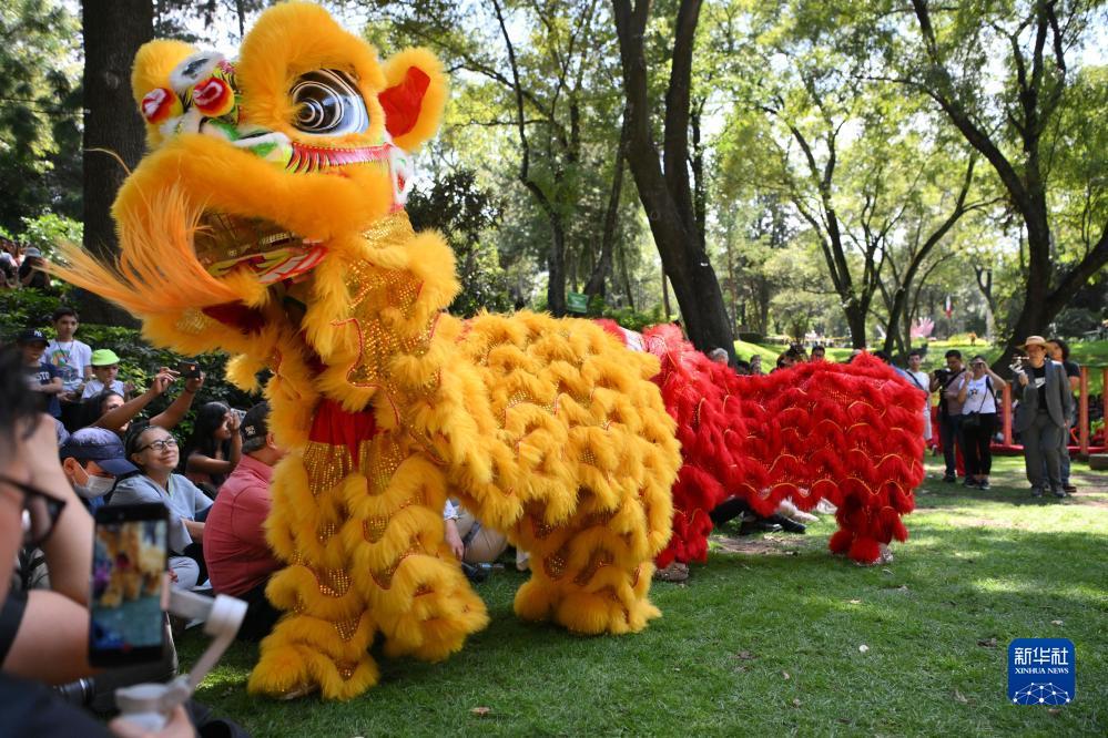 白家乐最稳的打法